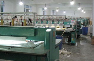 湖南株洲电脑绣花产业现状 低端简易加工与软硬件辅助设备的应用探析